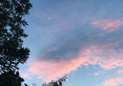 去海邊曬黑的幽默搞笑心情 海邊曬黑了搞笑朋友圈