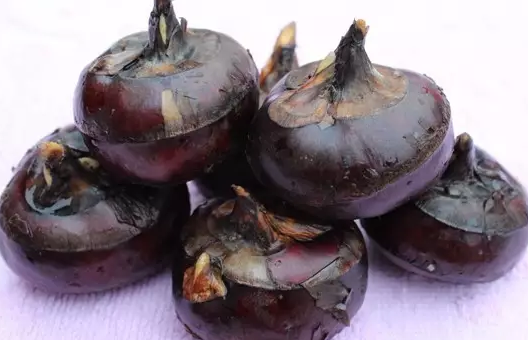 孕婦吃馬蹄容易流產嗎 孕婦吃荸薺是寒性水果嗎