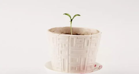 備孕檢查有卵泡不排卵怎么辦 怎么看自己是有卵泡不排卵