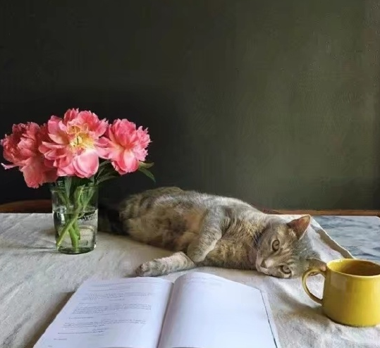 2019七月你好心情說說 迎接七月朋友圈句子