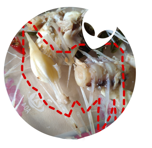 魚骨頭屬于什么垃圾 魚骨頭是干垃圾還是濕垃圾