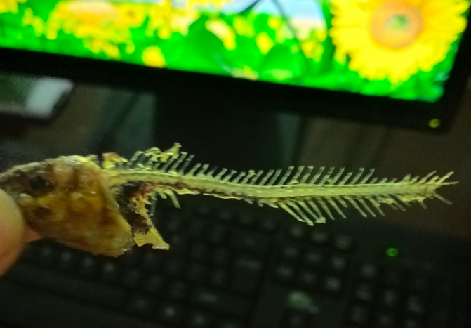 魚骨頭屬于什么垃圾 魚骨頭是干垃圾還是濕垃圾