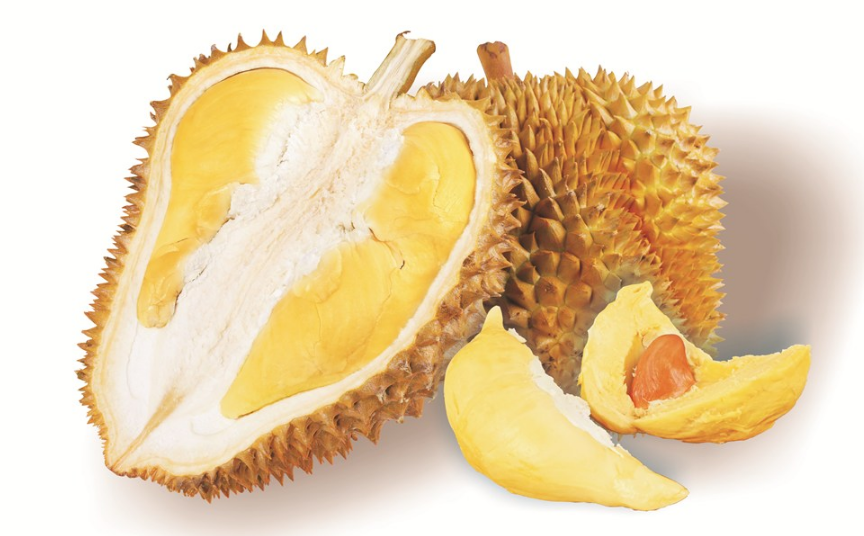 榴蓮殼是什么垃圾 榴蓮殼是干垃圾還是濕垃圾