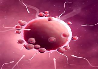 導致輸卵管堵塞的原因是什么 輸卵管堵塞可能是什么情況造成的