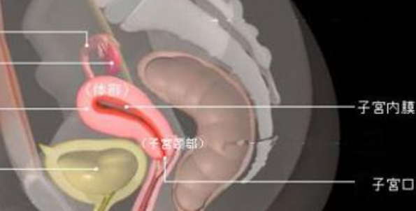 宮頸妊娠藥物怎么治療 宮頸妊娠是大手術(shù)嗎 宮頸妊娠藥物怎么治療 宮頸妊娠是大手術(shù)嗎