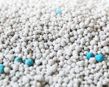 怎么區分貓砂是什么垃圾 不同材料的貓砂是什么類型的垃圾