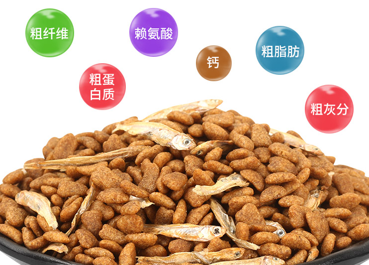 濕貓糧干貓糧是什么垃圾 濕貓糧干貓糧是干垃圾還是濕垃圾