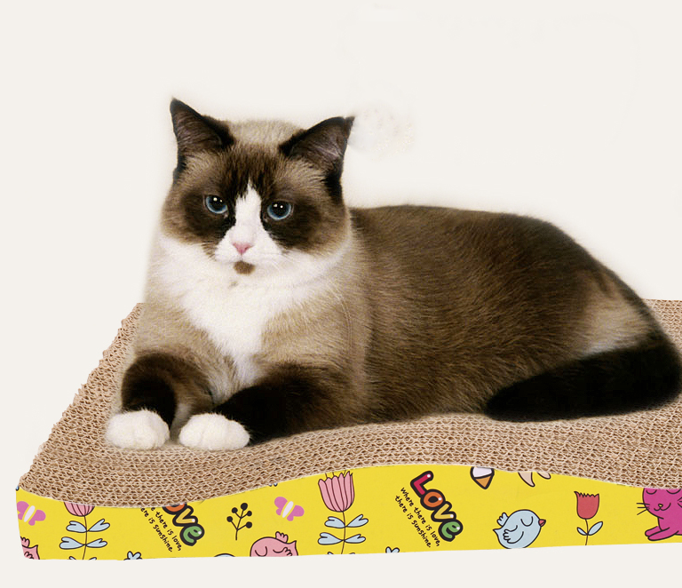 貓咪用的東西怎么區分干濕垃圾 貓貓用的東西是干垃圾還是濕垃圾