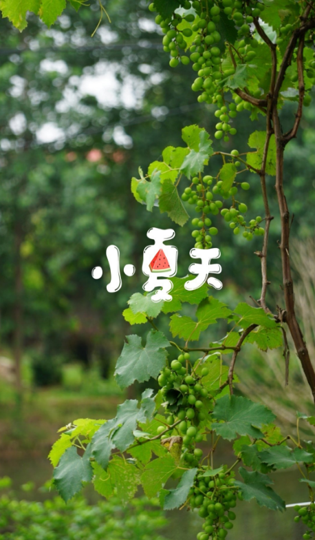 夏天天氣涼爽的說(shuō)說(shuō) 夏天晚上風(fēng)很涼爽的說(shuō)說(shuō)朋友圈