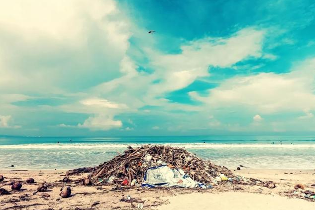 北京垃圾分類標準和上海為什么不一樣 北京垃圾分類標準和上海哪些不一樣