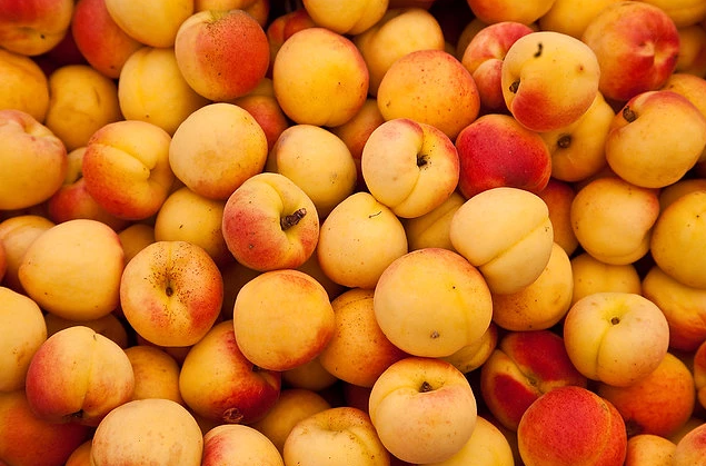 吃什么水果能解酒 喝酒后哪些水果不能吃 吃什么水果能解酒 喝酒后哪些水果不能吃