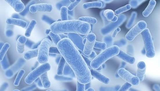 孩子吃益生菌能提高免疫力嗎 孩子吃益生菌有什么好處