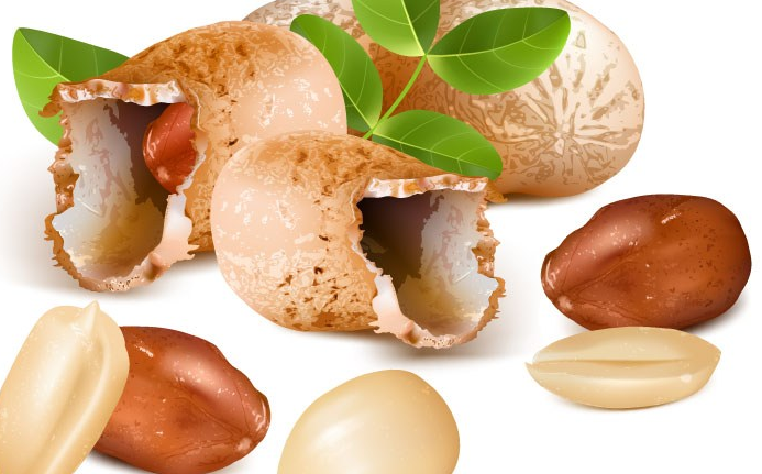 花生皮是什么垃圾 花生皮是干垃圾還是濕垃圾