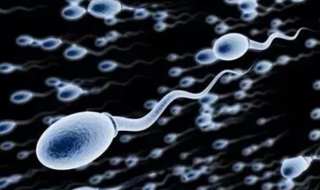 冷凍精子是怎樣的 凍精會影響試管成功率嗎