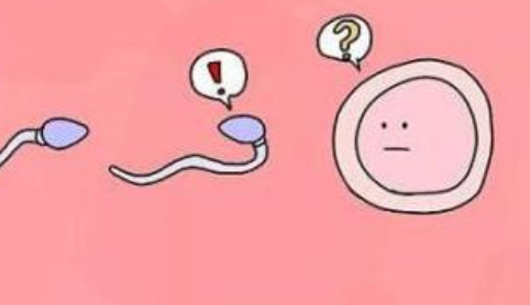 女性幼稚子宮能治好嗎 如何治療幼稚型子宮