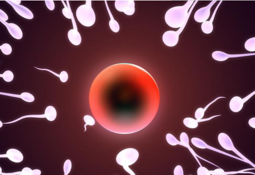 引起血精的原因有哪些 男性出現血精怎么辦