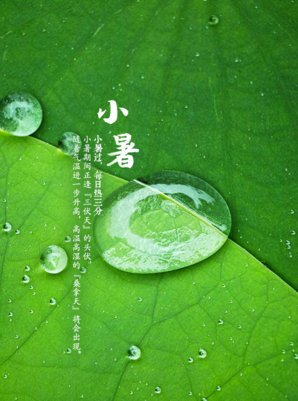 今日小暑早安說說 今日小暑說說心情感慨