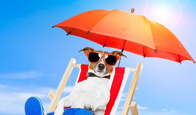 曬太陽(yáng)有什么好處 適當(dāng)?shù)臅裉?yáng)可以補(bǔ)充維生素d嗎 曬太陽(yáng)有什么好處 適當(dāng)?shù)臅裉?yáng)可以補(bǔ)充維生素d嗎