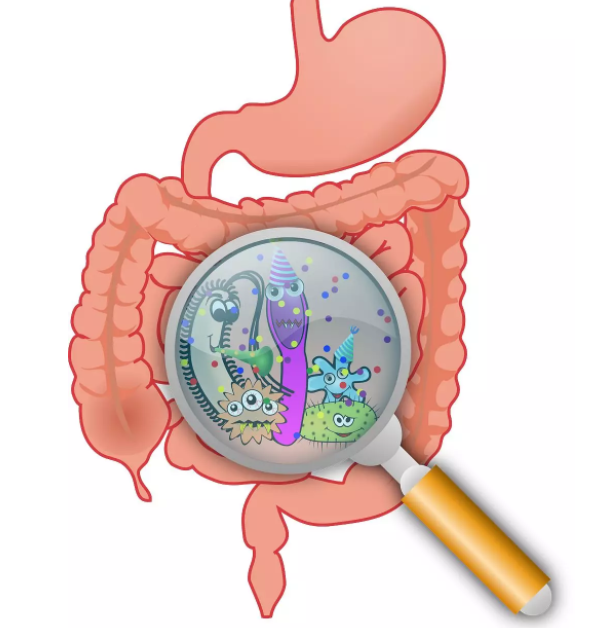 益生菌可以和奶粉一起沖嗎 什么情況下給寶寶補充益生菌有效
