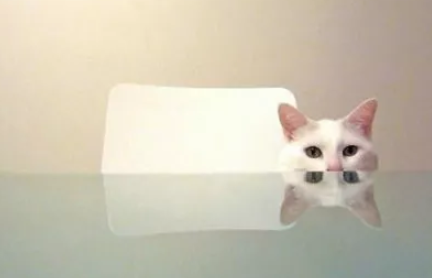 孕婦被辭退索賠13萬原因 孕期被辭退并被索賠13萬怎么回事