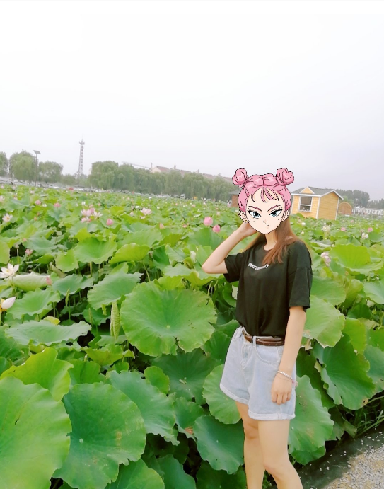 賞荷花的浪漫的句子 關于賞荷花的心情感慨