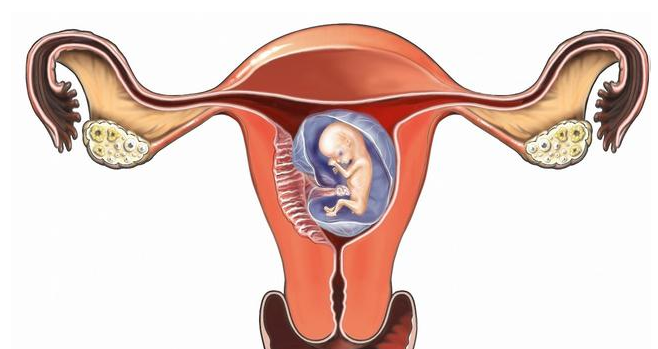 子宮后位受孕難嗎 子宮后位影響懷孕嗎