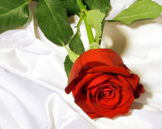 閨蜜結婚說說唯美句子2019 閨蜜結婚說說心情短語