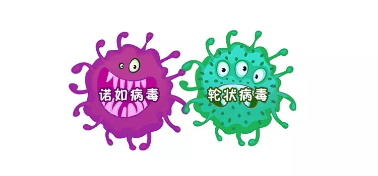 腹瀉的誘發(fā)原因是什么 孩子腹瀉是因為輪狀病毒嗎