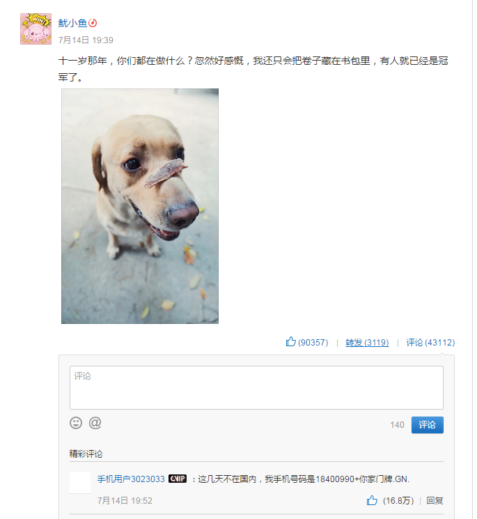 親愛的熱愛的男女主網易云音樂賬號 親愛的熱愛的魷小魚微博賬號