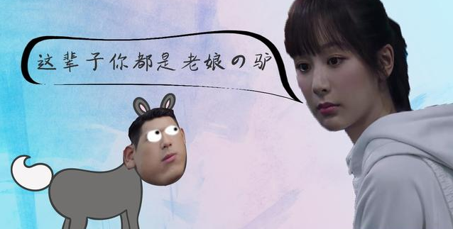 我的小毛驢不見了是什么梗 我的小毛驢不見了是哪一集 我的小毛驢不見了是什么梗 我的小毛驢不見了是哪一集