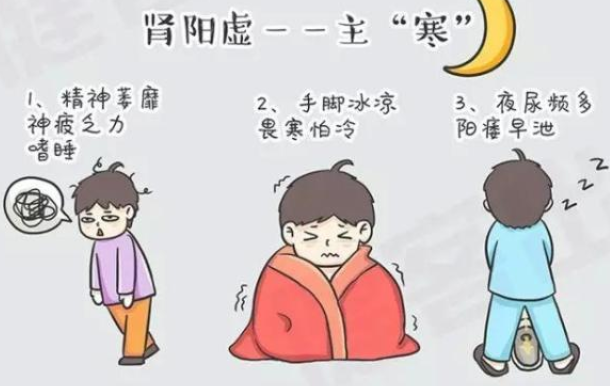 如何判斷陰虛和陽虛 腎陰虛和腎陽虛癥狀區別 如何判斷陰虛和陽虛 腎陰虛和腎陽虛癥狀區別