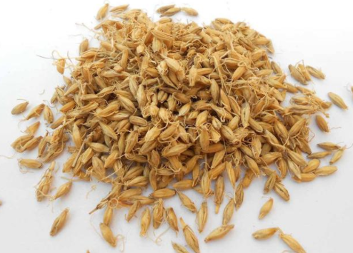 三星湯是什么成分組成的 三星湯的做法