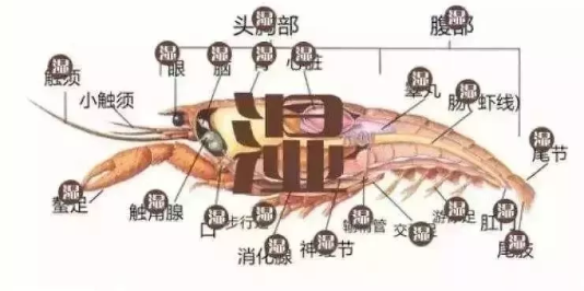 南寧垃圾分類標準是什么 南寧垃圾分類罰款標準