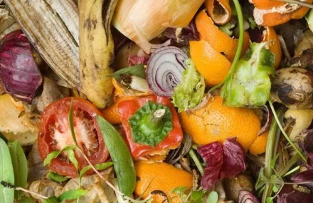 貴陽(yáng)垃圾分類(lèi)標(biāo)準(zhǔn)是什么 貴陽(yáng)垃圾分類(lèi)什么時(shí)候開(kāi)始