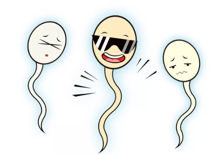 少精癥是什么原因?qū)е碌?少精癥的癥狀有哪些