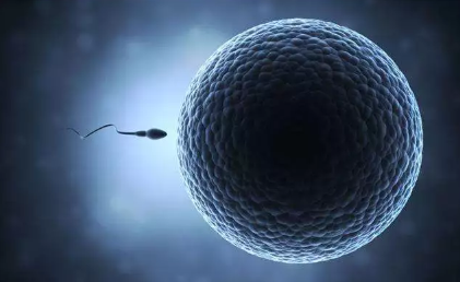 少精癥是什么原因導致的 少精癥的癥狀有哪些