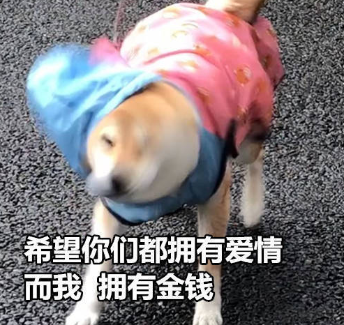 七夕單身朋友圈說說心情短語 七夕單身狗發的說說配圖