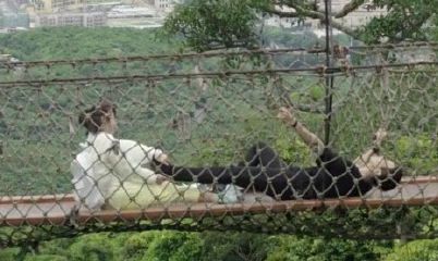 韓商言恐高是哪一集 韓商言為什么恐高