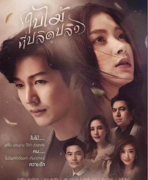 吹落的樹(shù)葉女主是變性人嗎 吹落的樹(shù)葉女主是男的還是女的