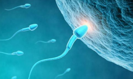 精子有顆粒是怎么回事 精液有顆粒是炎癥嗎 精子有顆粒是怎么回事 精液有顆粒是炎癥嗎