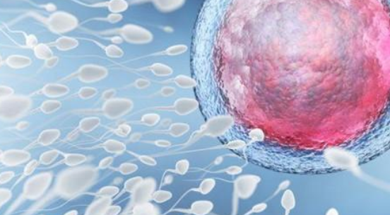 精子有顆粒是怎么回事 精液有顆粒是炎癥嗎 精子有顆粒是怎么回事 精液有顆粒是炎癥嗎