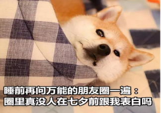 七夕單身朋友圈說說心情短語 七夕單身狗發(fā)的說說配圖