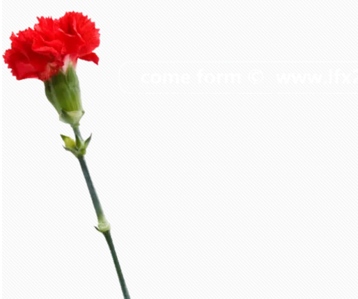 七夕套路情話大全圖片 七夕表白套路句子