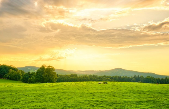 天氣熱不想出門的心情說(shuō)說(shuō) 熱到爆炸說(shuō)說(shuō)句子
