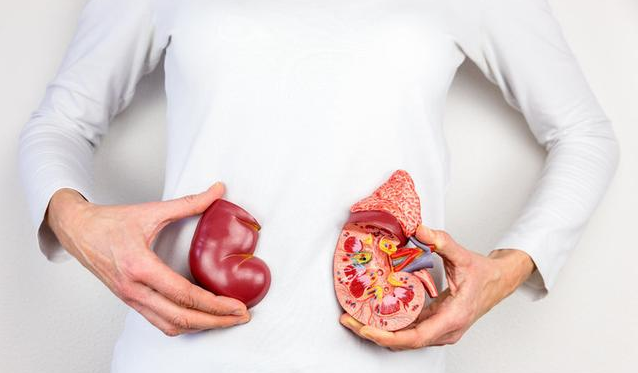 缺水嚴重會導致急性腎衰竭嗎 急性腎衰能治好嗎