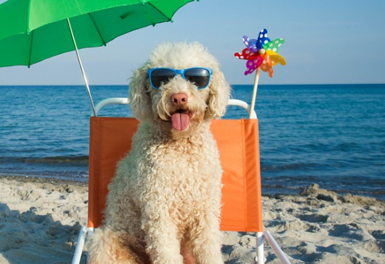 外面太熱的說說朋友圈 外面太熱的搞笑說說