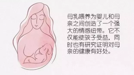 母乳喂養(yǎng)會導致身材走樣嗎 母乳喂養(yǎng)會導致身材發(fā)胖嗎
