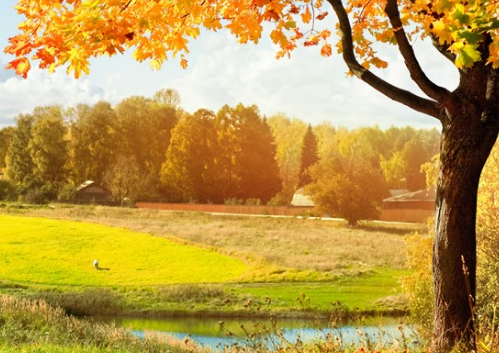 2019今日立秋配圖句子說說朋友圈 今日立秋節氣心情說說短語