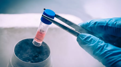 凍卵成功就可以隨時生孩子嗎 凍卵成功怎么生孩子