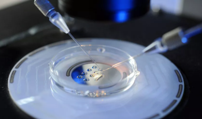 凍卵復(fù)蘇成功率是多大 凍卵復(fù)蘇需要多長時間